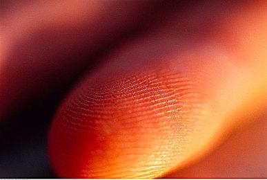 开罗游戏《珍宝机场物语》2月2日登陆Switch